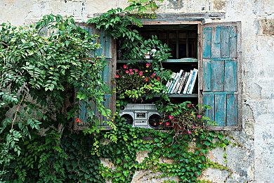 跨性别人士呼吁玩家别买《霍格沃茨之遗》 别给罗琳送钱